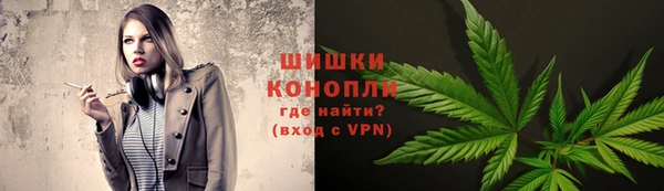 мет Дмитров