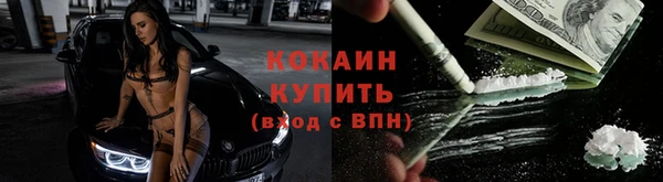 хмурый Дмитриев