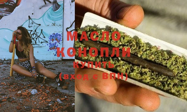 мет Дмитров