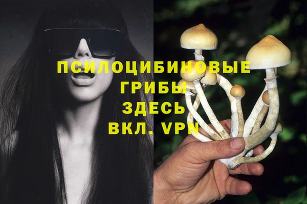 мет Дмитров