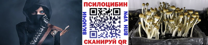 Галлюциногенные грибы Cubensis  Купить  Калтан 